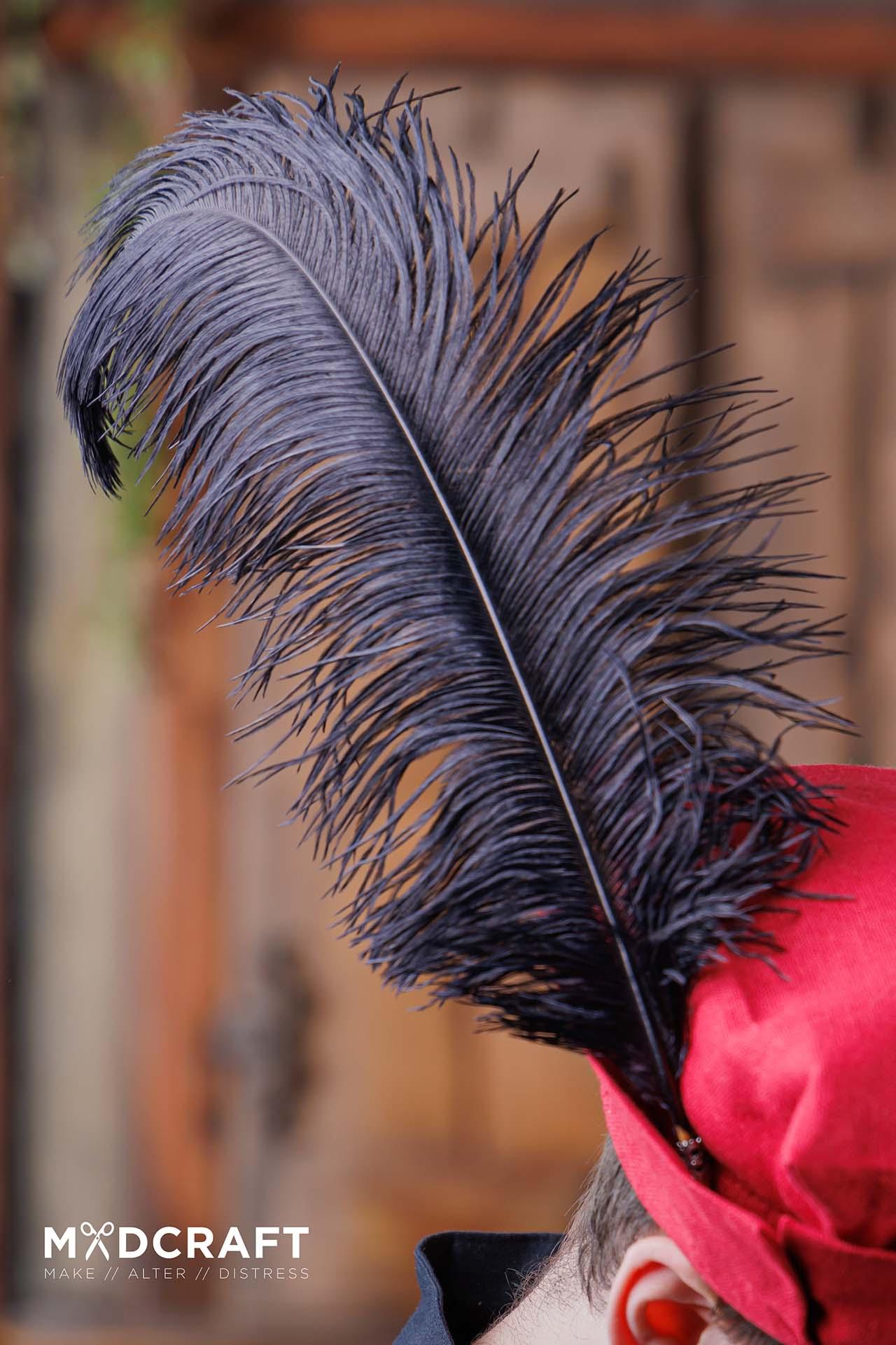 Ostrich Feather 45-50cm Black Azure Briseis