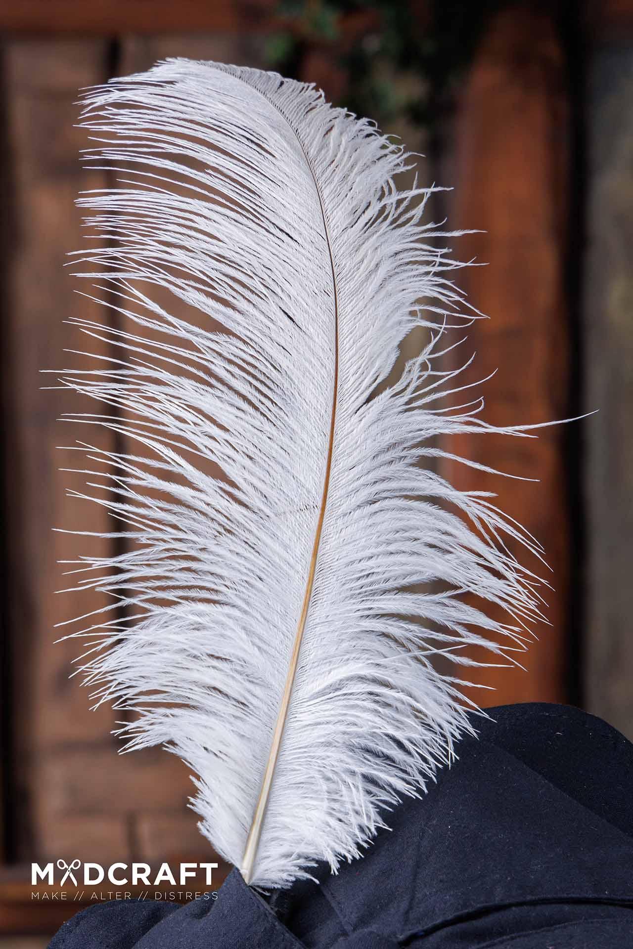 Ostrich Feather 45-50cm White Azure Briseis
